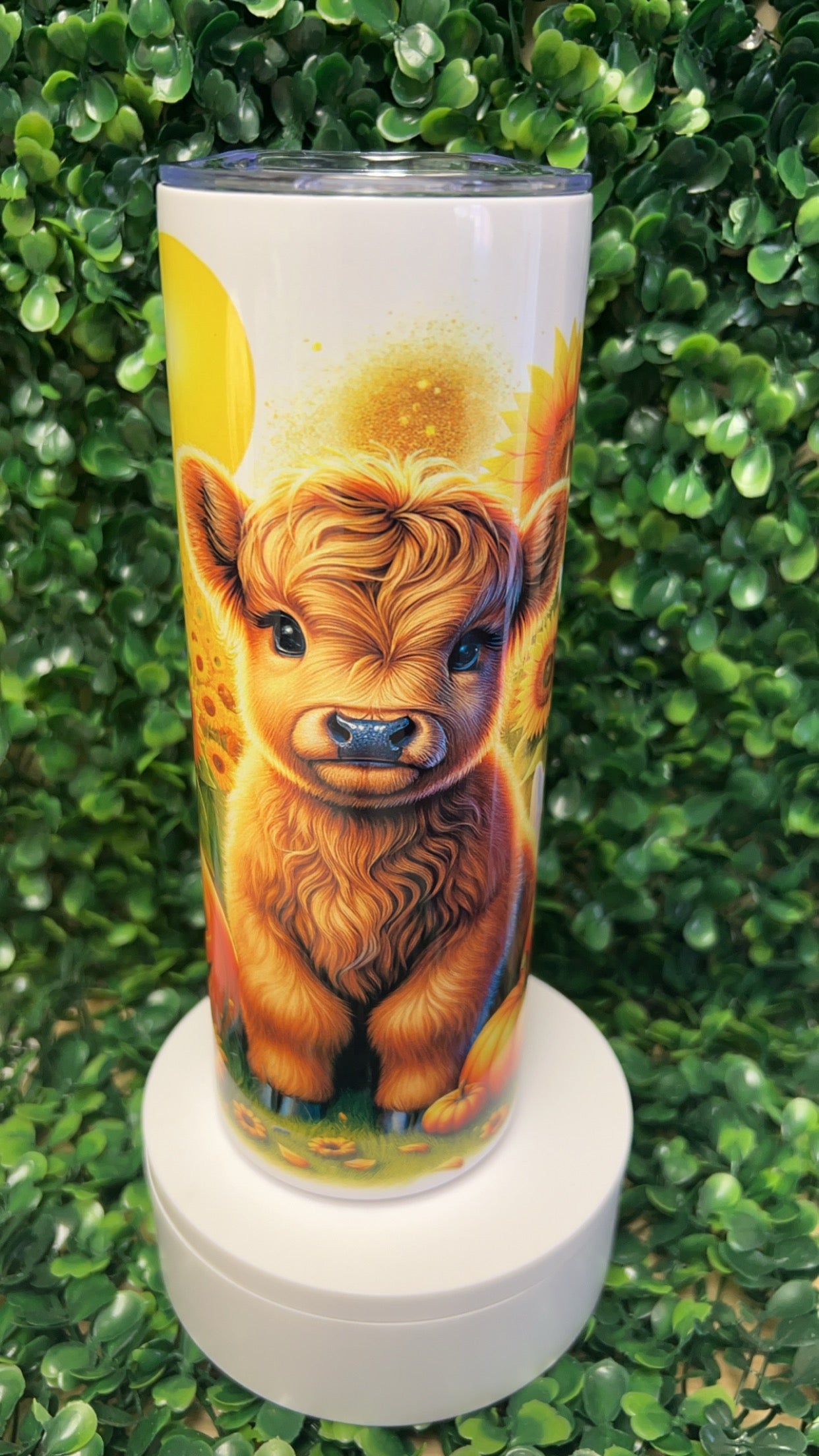 Halloween Highland Cow Stainless Steel Tumbler