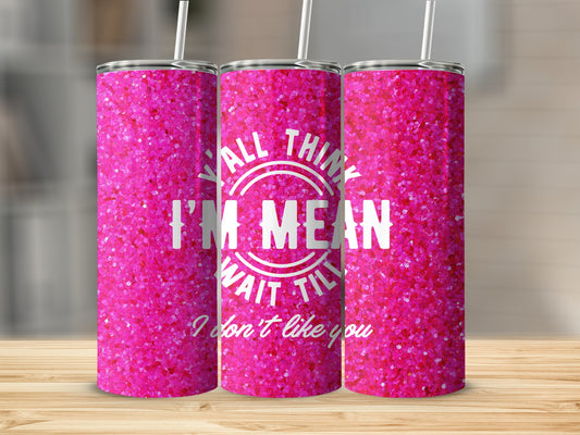 Y'all Think I'm Mean? Wait Till I Don't Like You! Stainless Steel Tumbler