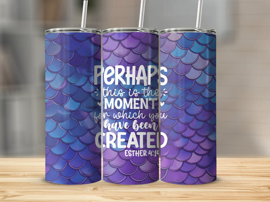 Perhaps this is the Moment You were Created For!...Stainless Steel Tumbler